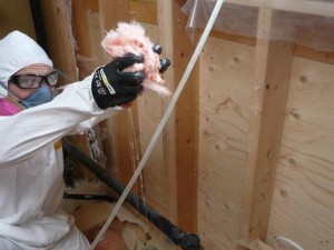 Water Damage Grand Prairie Mold Removal