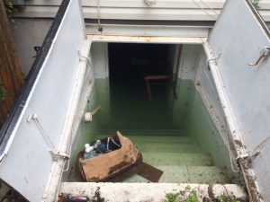 A Flooded Basement With Mold Growth