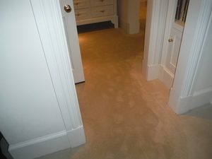 Water Damage Wilmer Wet Carpet