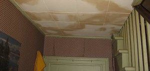 Water and Mold Damage Ceiling