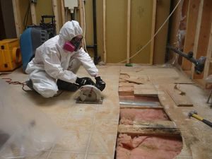 Commercial Restoration Mold Removal 