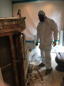 A Repair Tech Conducting Water Cleanup And Mold Removal