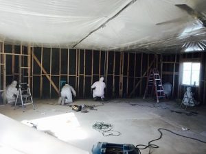 Water Damage And Mold Removal Services In A Commercial Property
